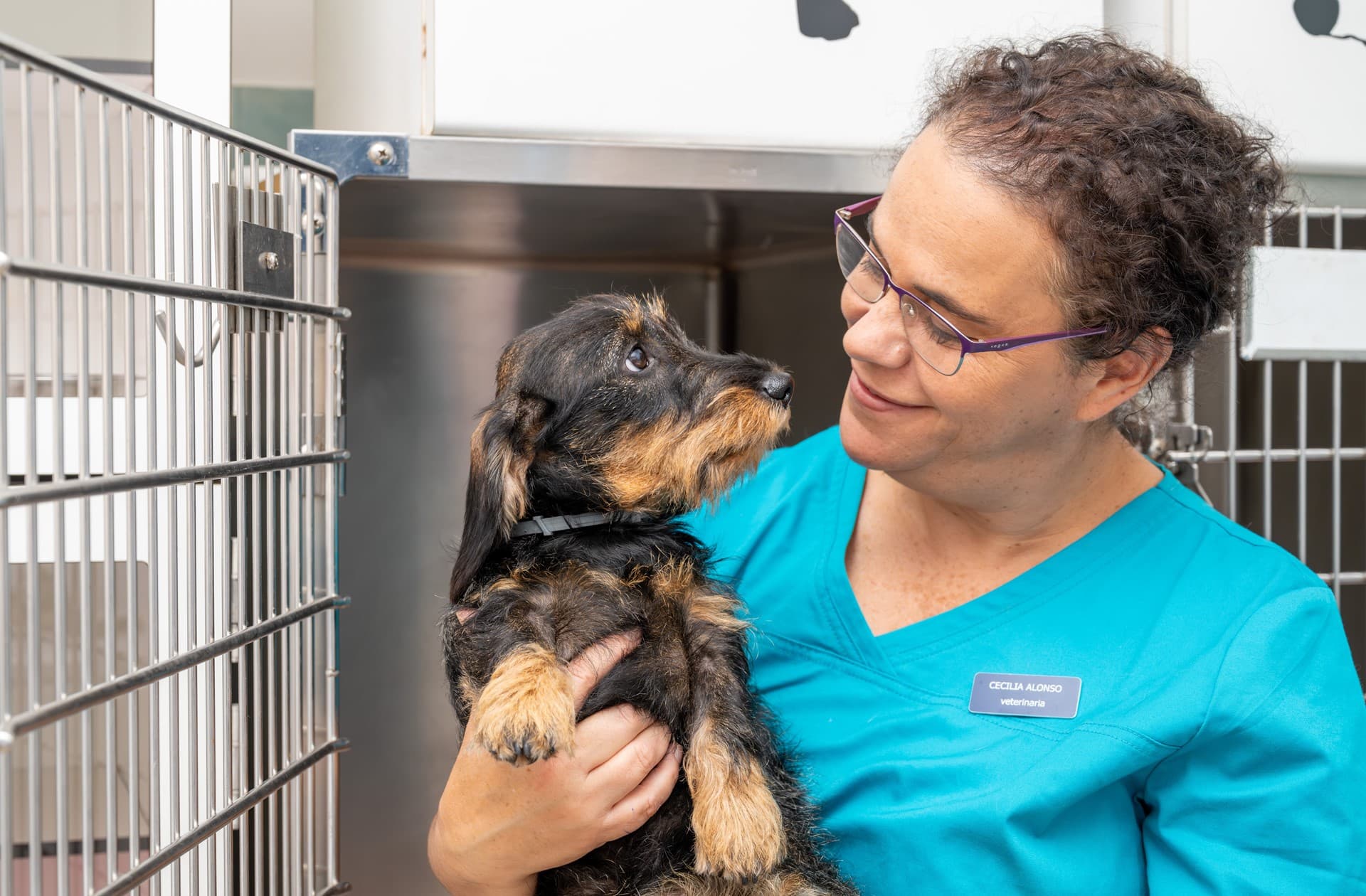 Artrosis veterinaria en Vigo