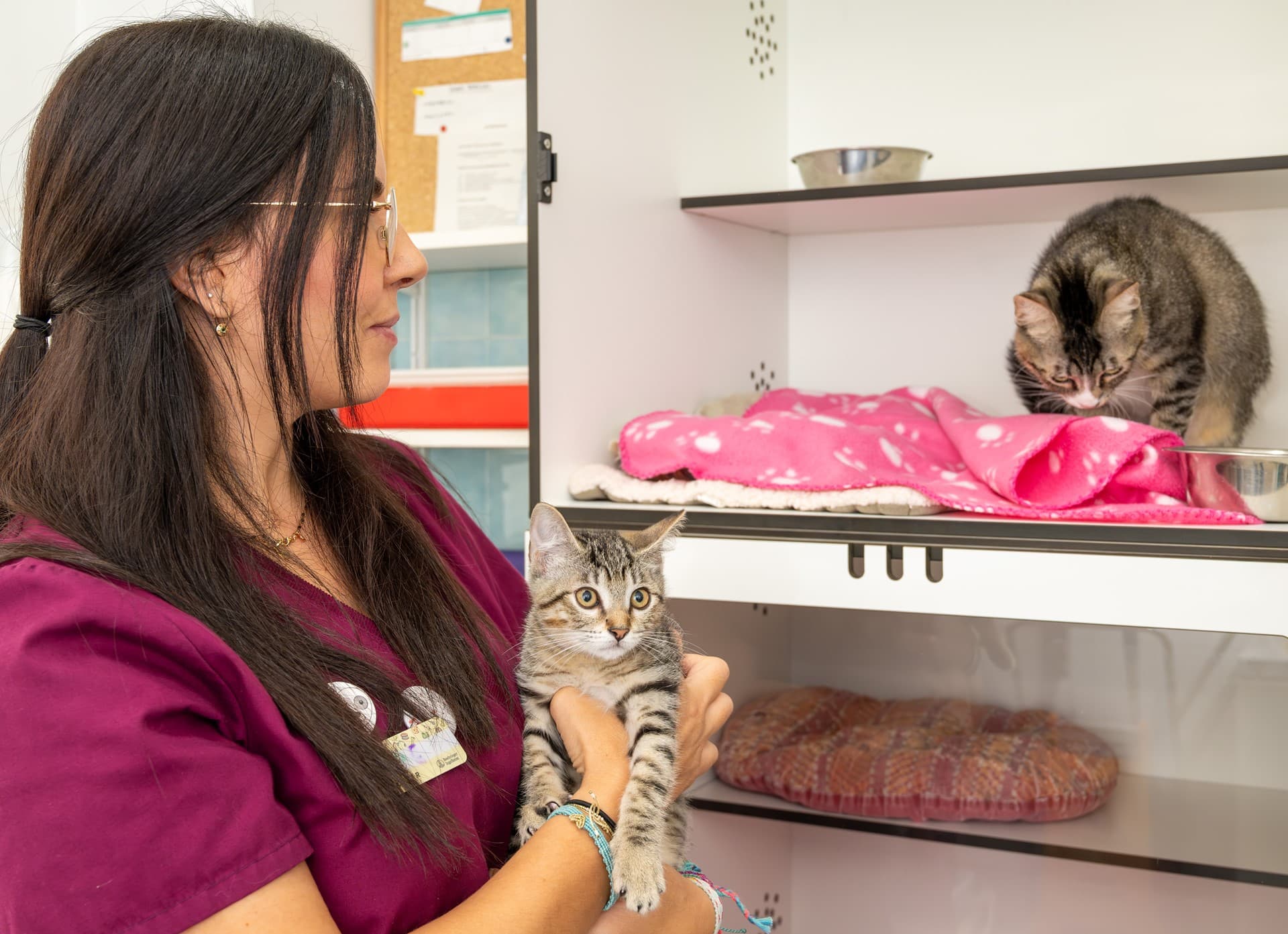 Artrosis veterinaria en Vigo