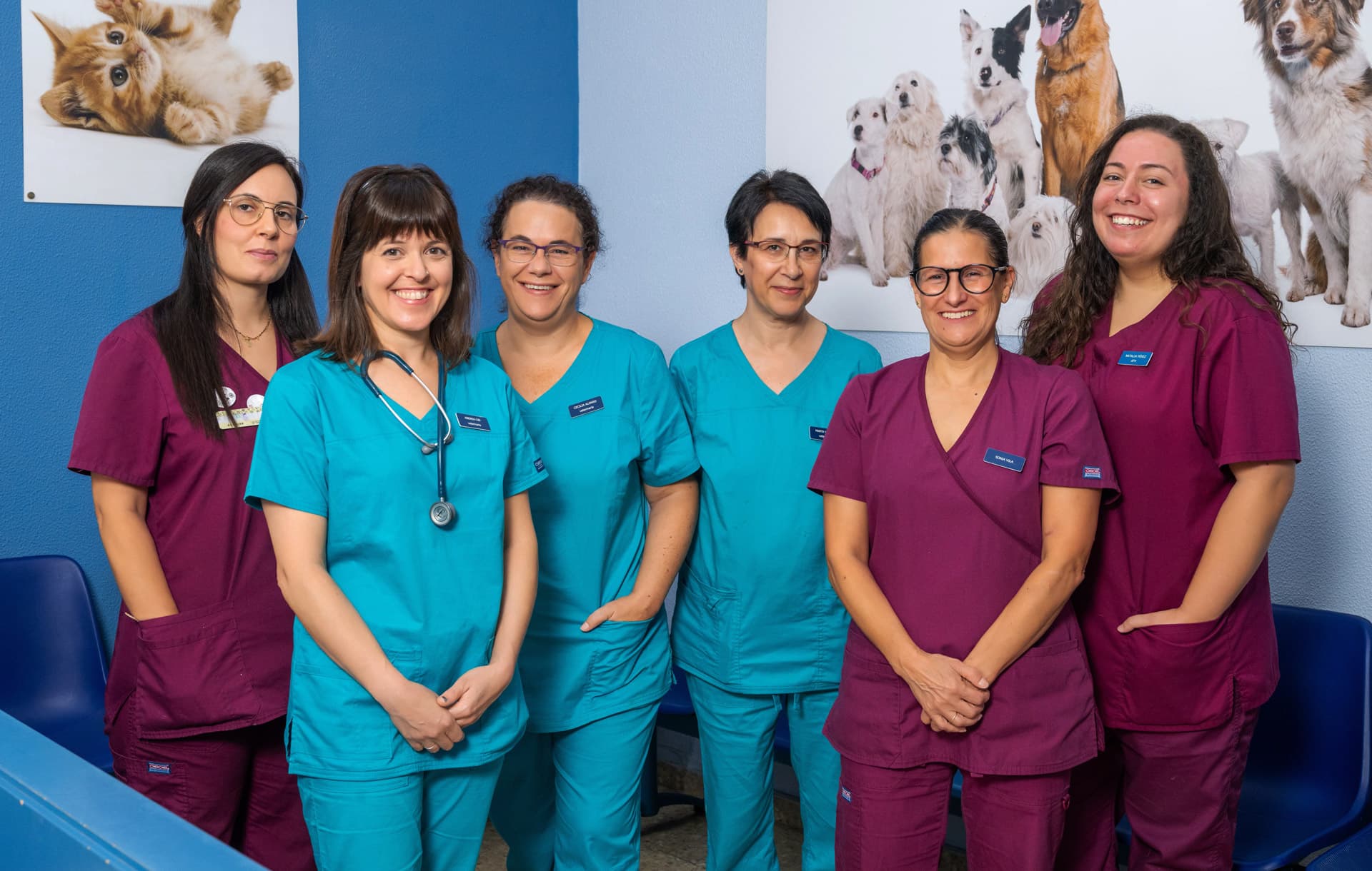 Conoce a nuestro equipo veterinario en Vigo