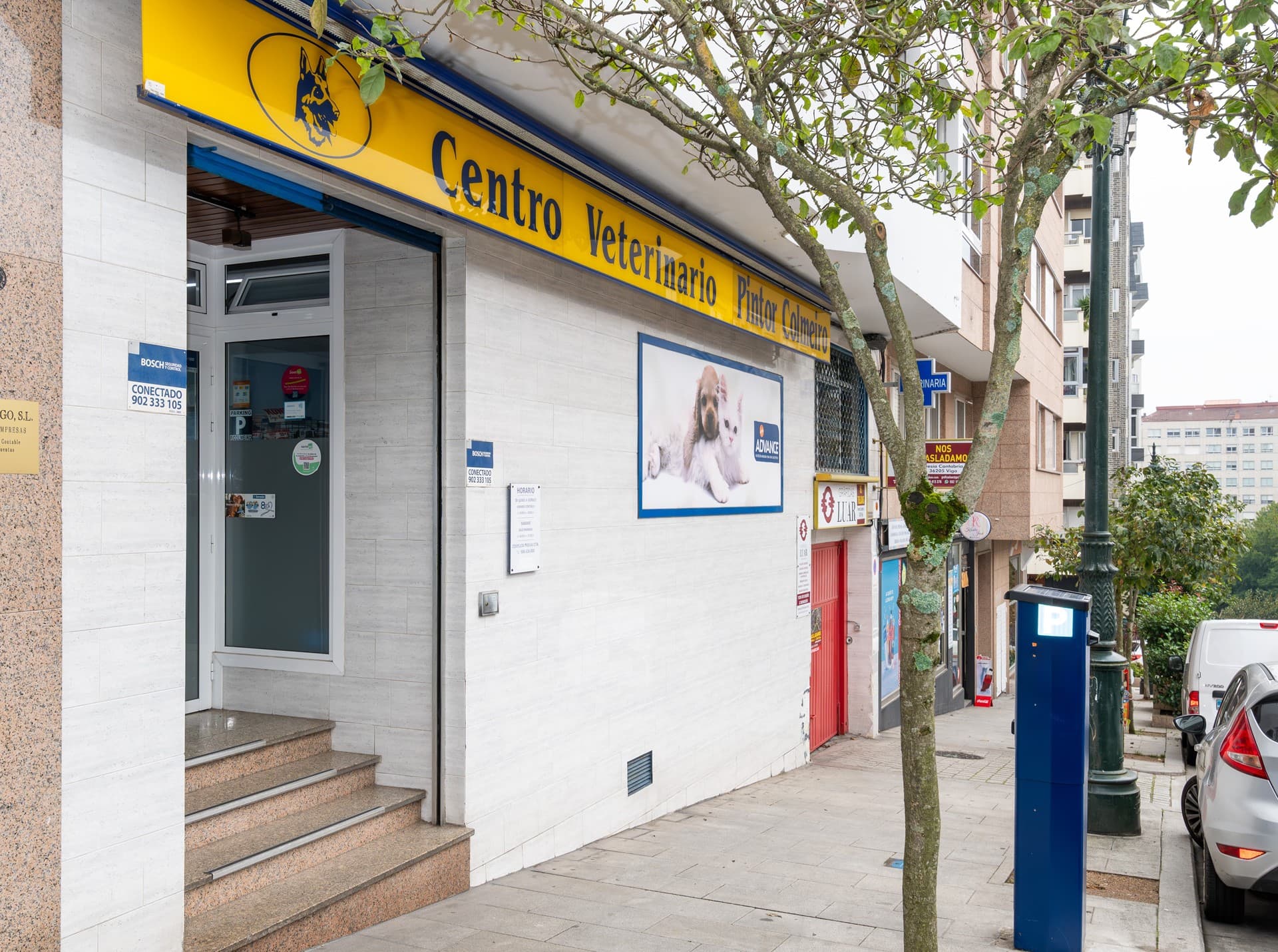 Profesionales del Centro Veterinario Pintor Colmeiro