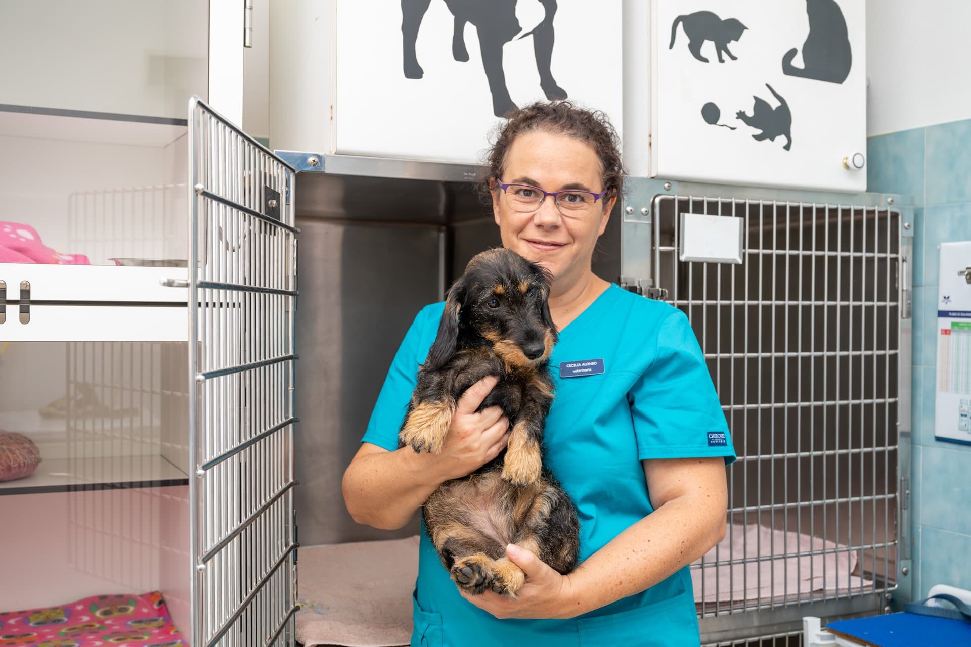 Servicio completo de análisis veterinario